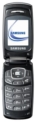 Samsung  SGH-E620